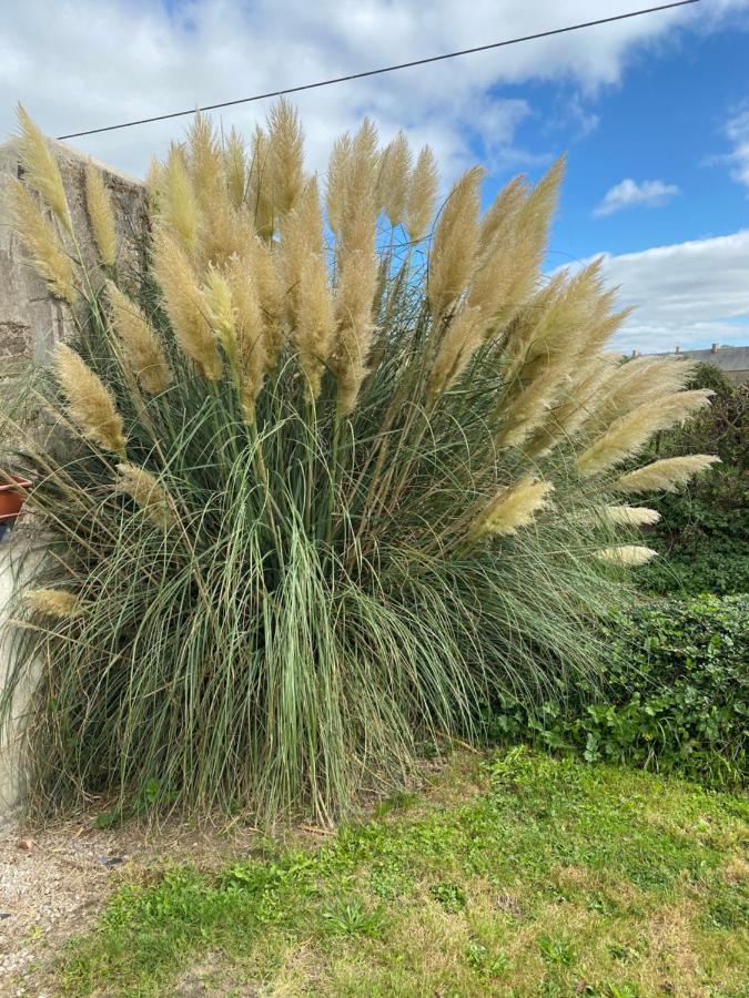 Gite Du Bois Pennier, Au Calme , A 15 Km Des Plages Du Debarquement Picauville Eksteriør bilde